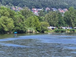 Mainschwimmen Juni 2026